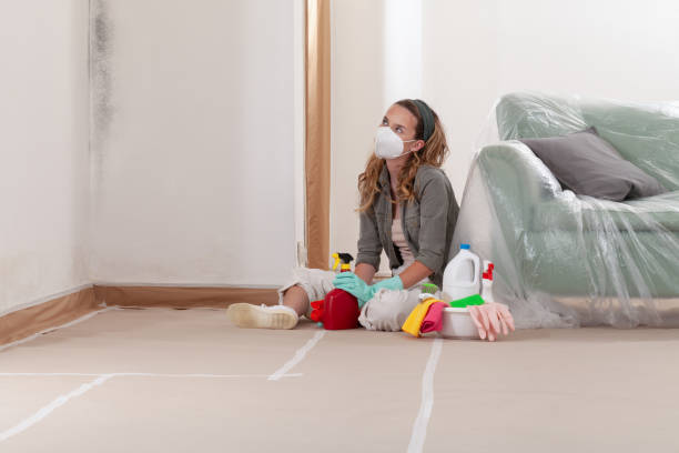 Reliable Mold Remediation contractor in Yale, MI by Cheap Mold Removal